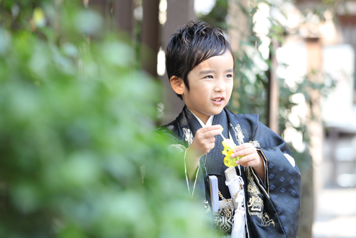 出張撮影KidsPhotoのブログ-氷川神社 出張撮影