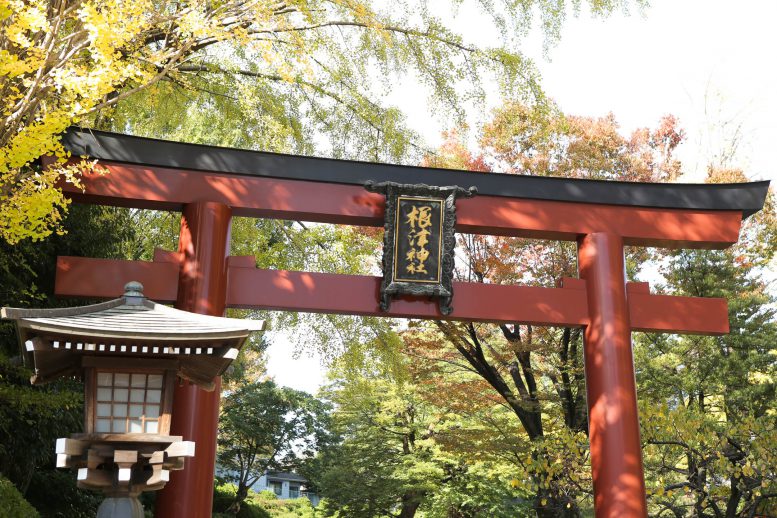 根津神社へ電車とバスでの行き方