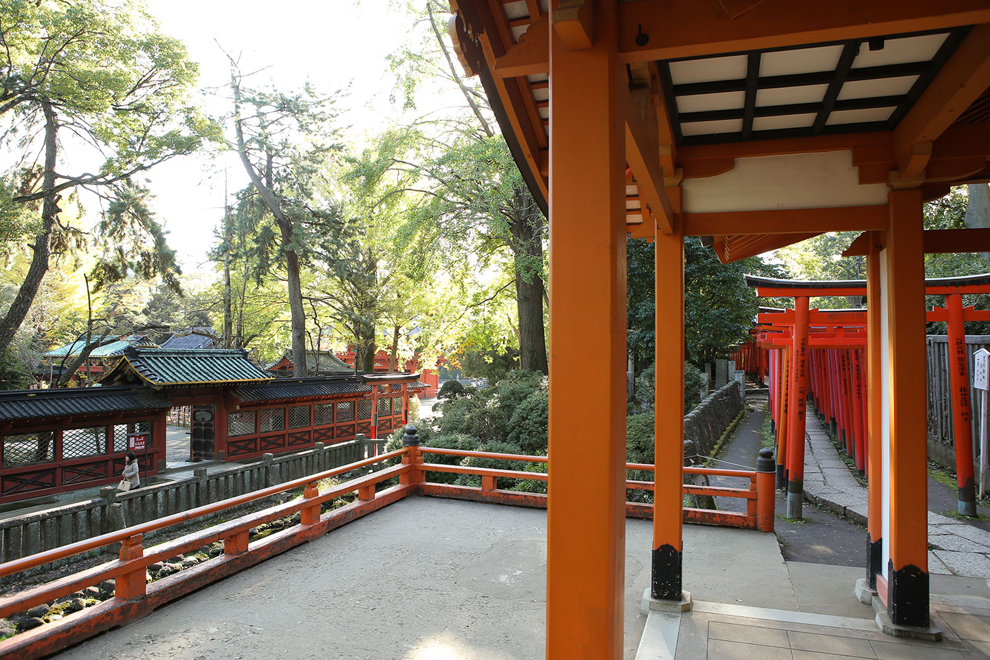 美しいロケーションの根津神社