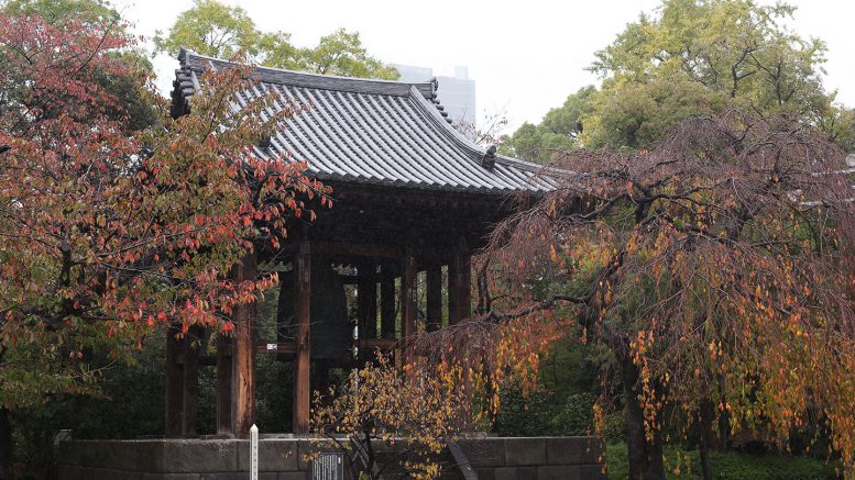 増上寺へ七五三の出張撮影