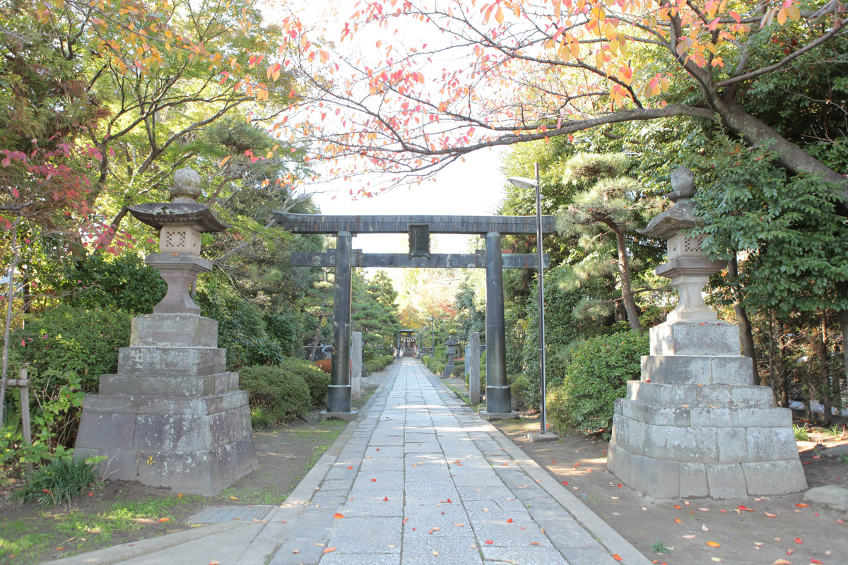 春日部八幡神社の参道