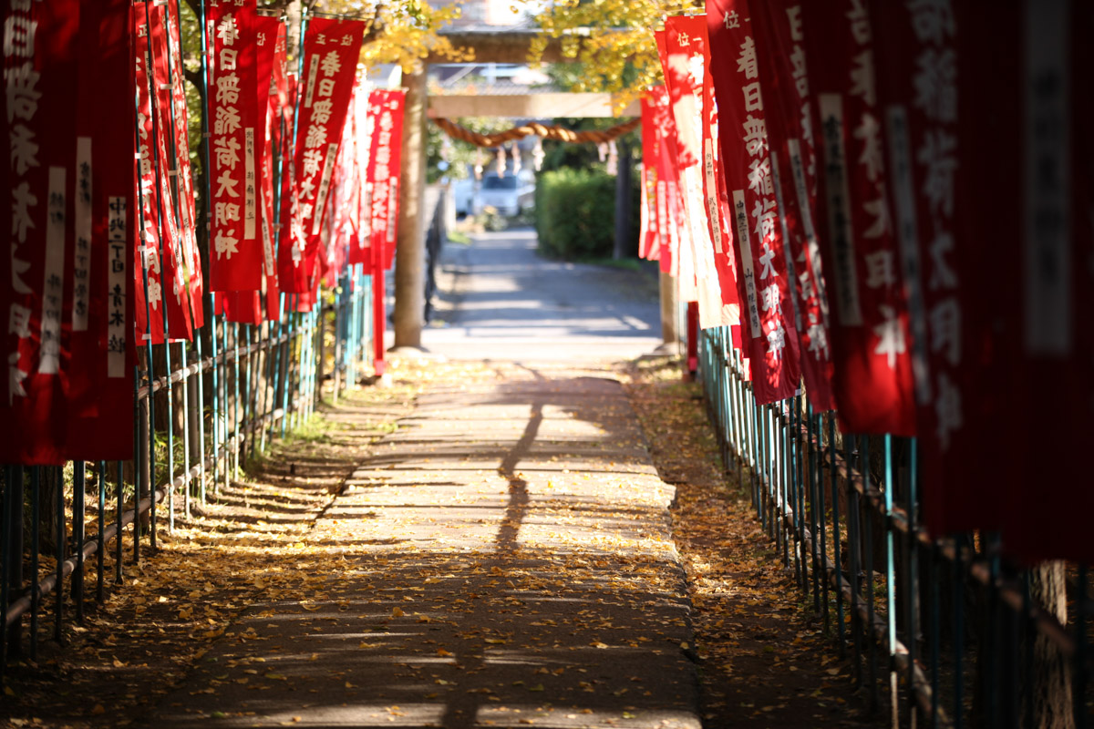 春日部八幡神社の参道2