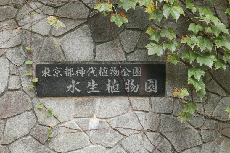 深大植物園