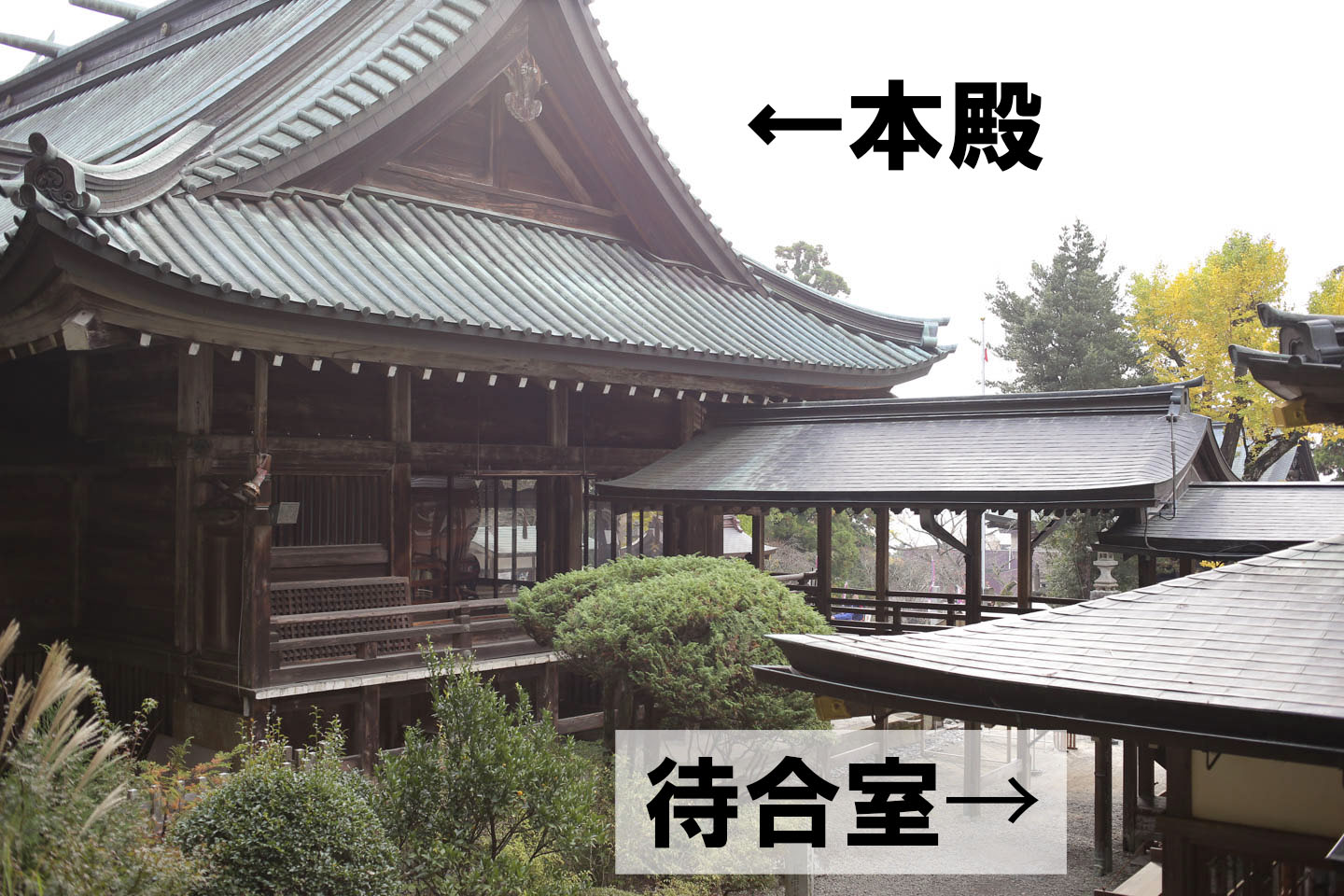筑波山神社を裏側から見た光景