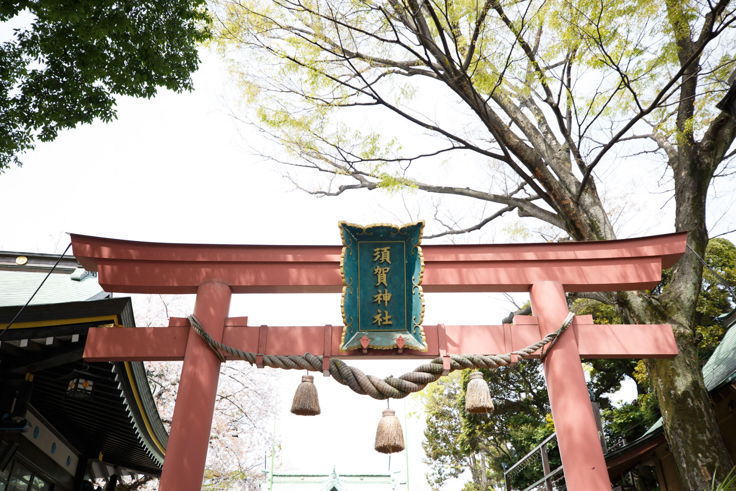 四谷の須賀神社　基本情報