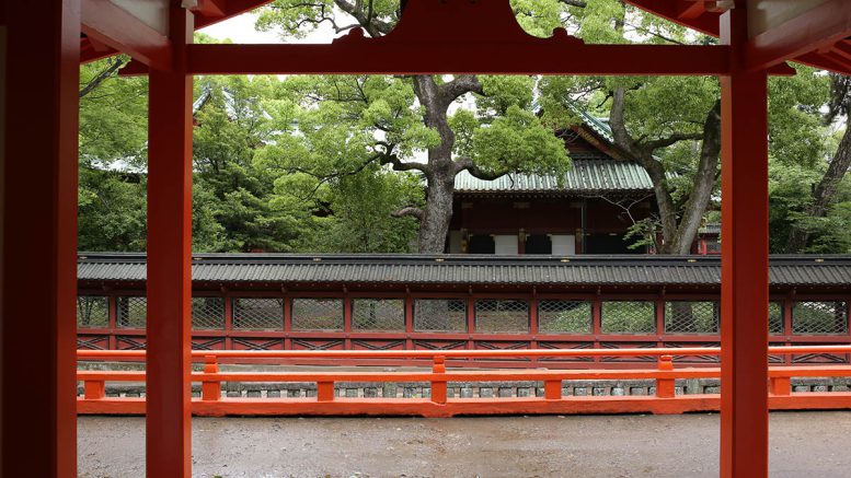 文京区 根津神社でお宮詣り