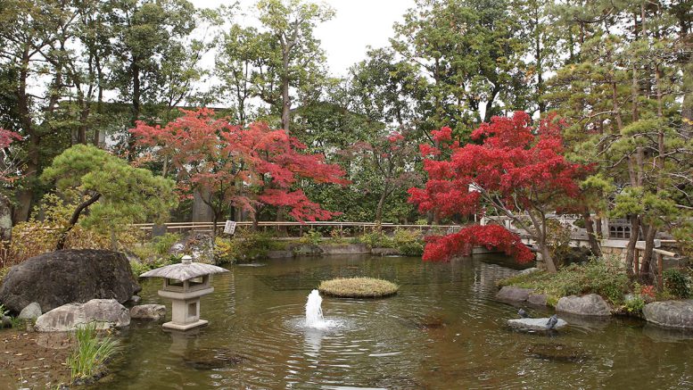 西新井大師の紅葉と池