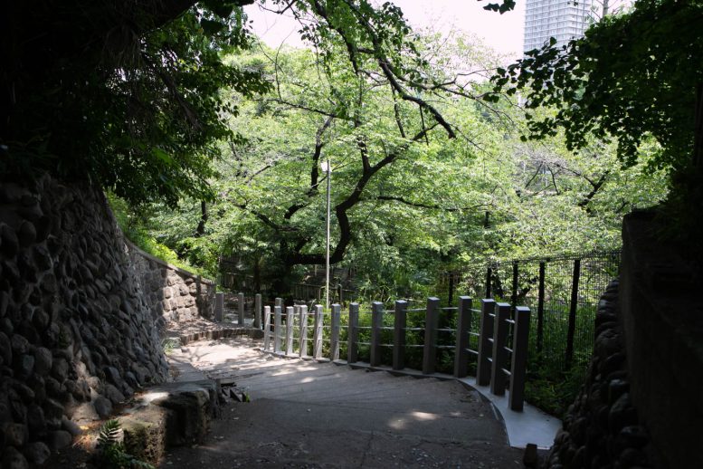 王子神社 境内の中央にある階段