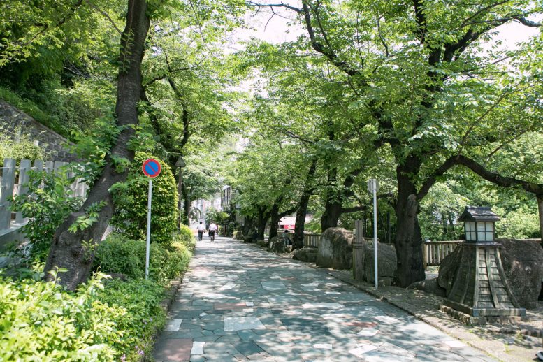 北区立音無親水公園　新緑