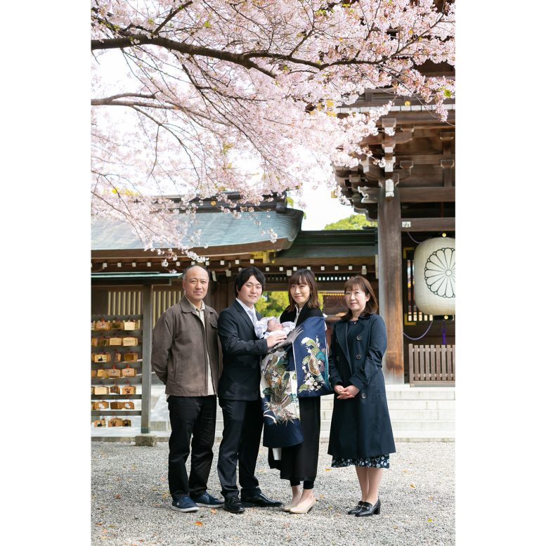 寒川神社　春の桜とお宮参り