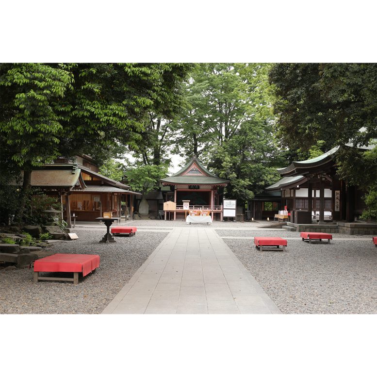 川越氷川神社　境内の雰囲気