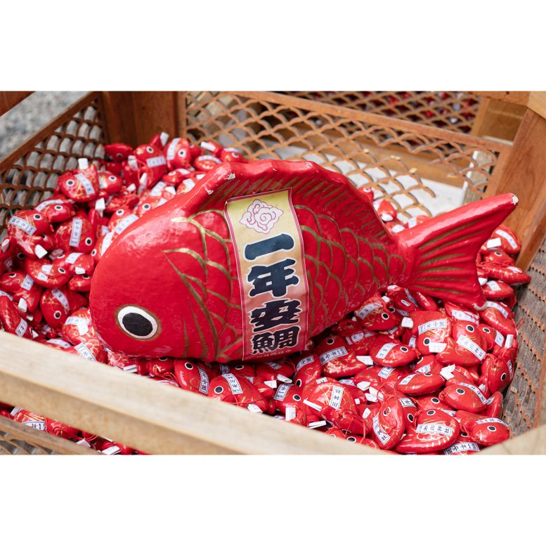 鯛のおみくじ