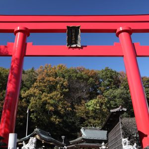 川崎で人気の琴平神社／歴史・御利益・特徴を解説