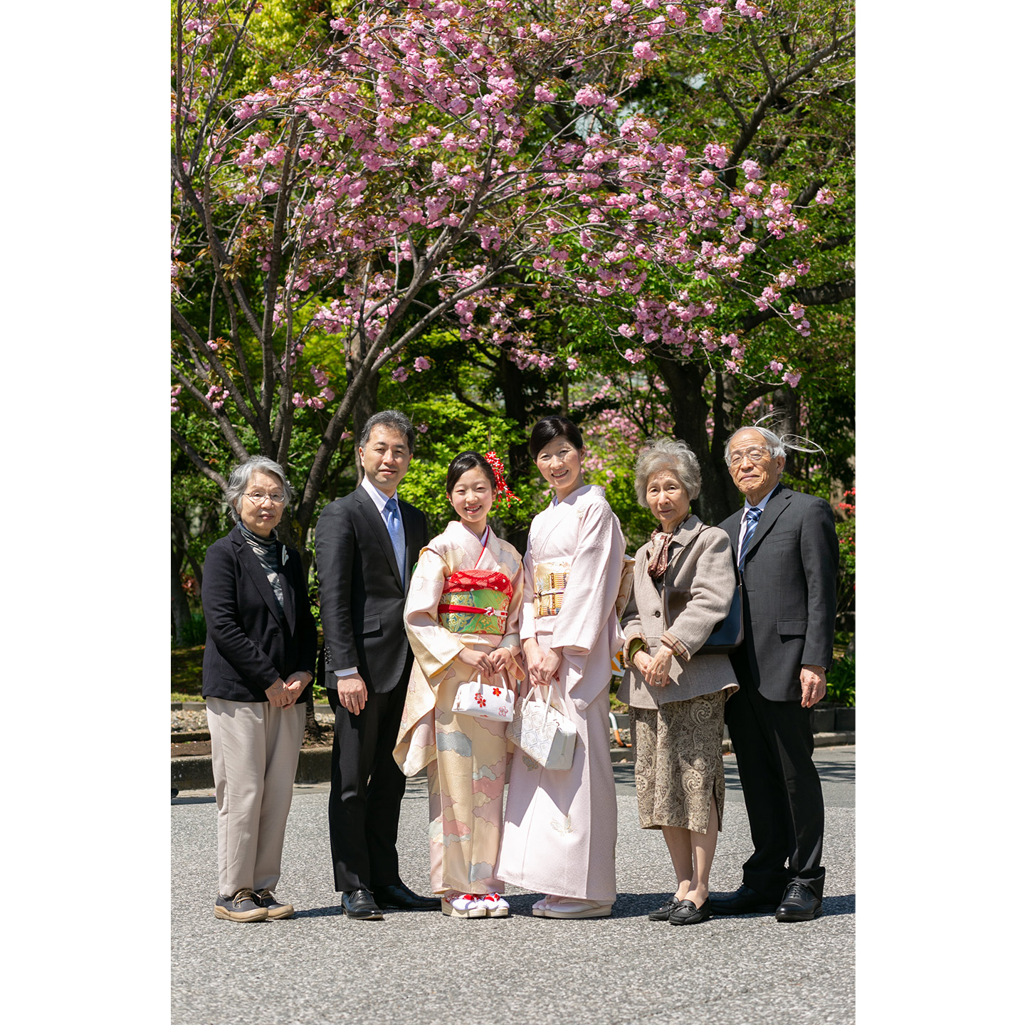浅草寺　桜を背景に集合写真