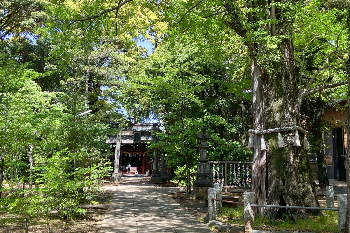 自然豊かな赤坂氷川神社