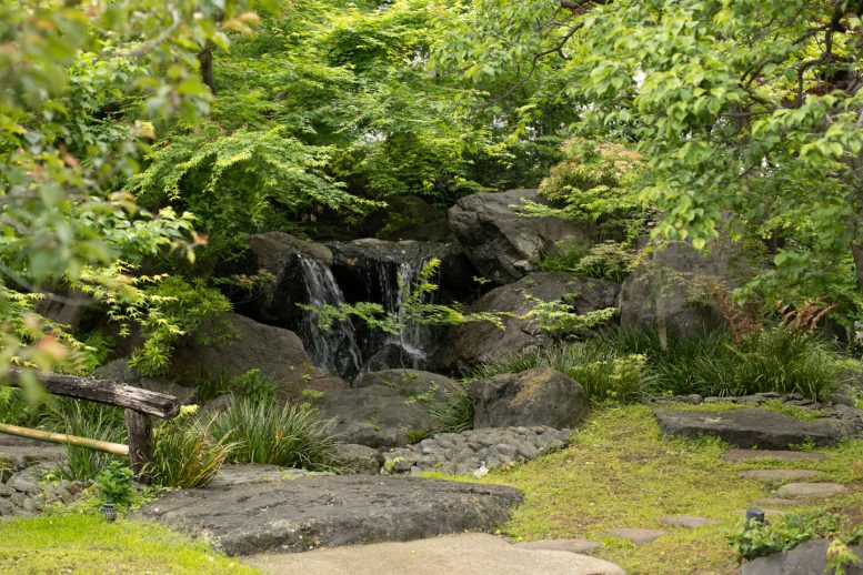湯島天神(湯島天満宮)　庭園