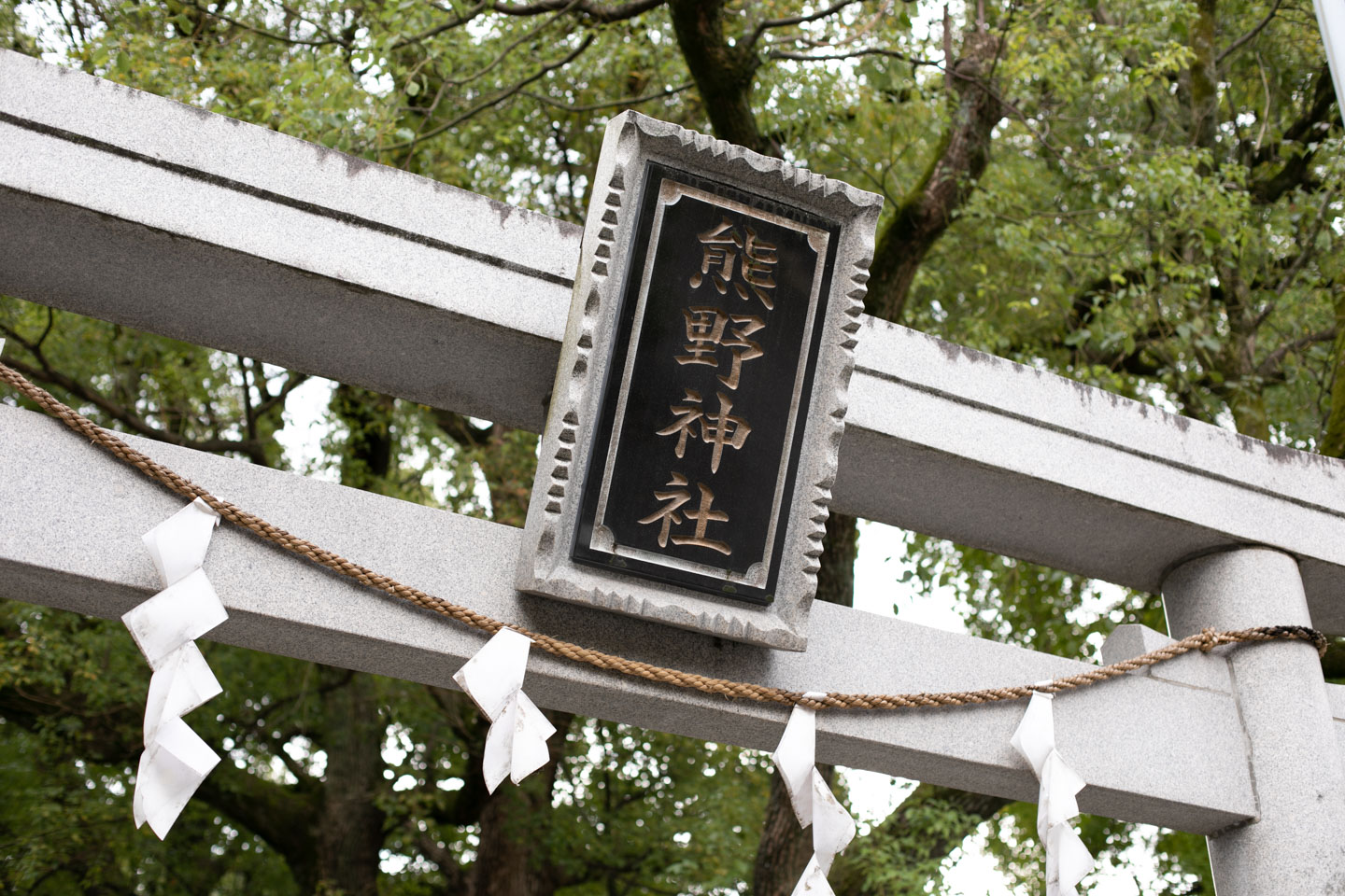 増上寺の熊野神社 鳥居