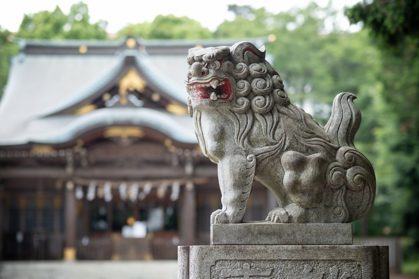 東村山 八坂神社 狛犬