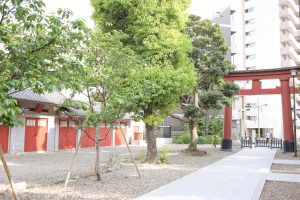 蒲田八幡神社　境内の写真12