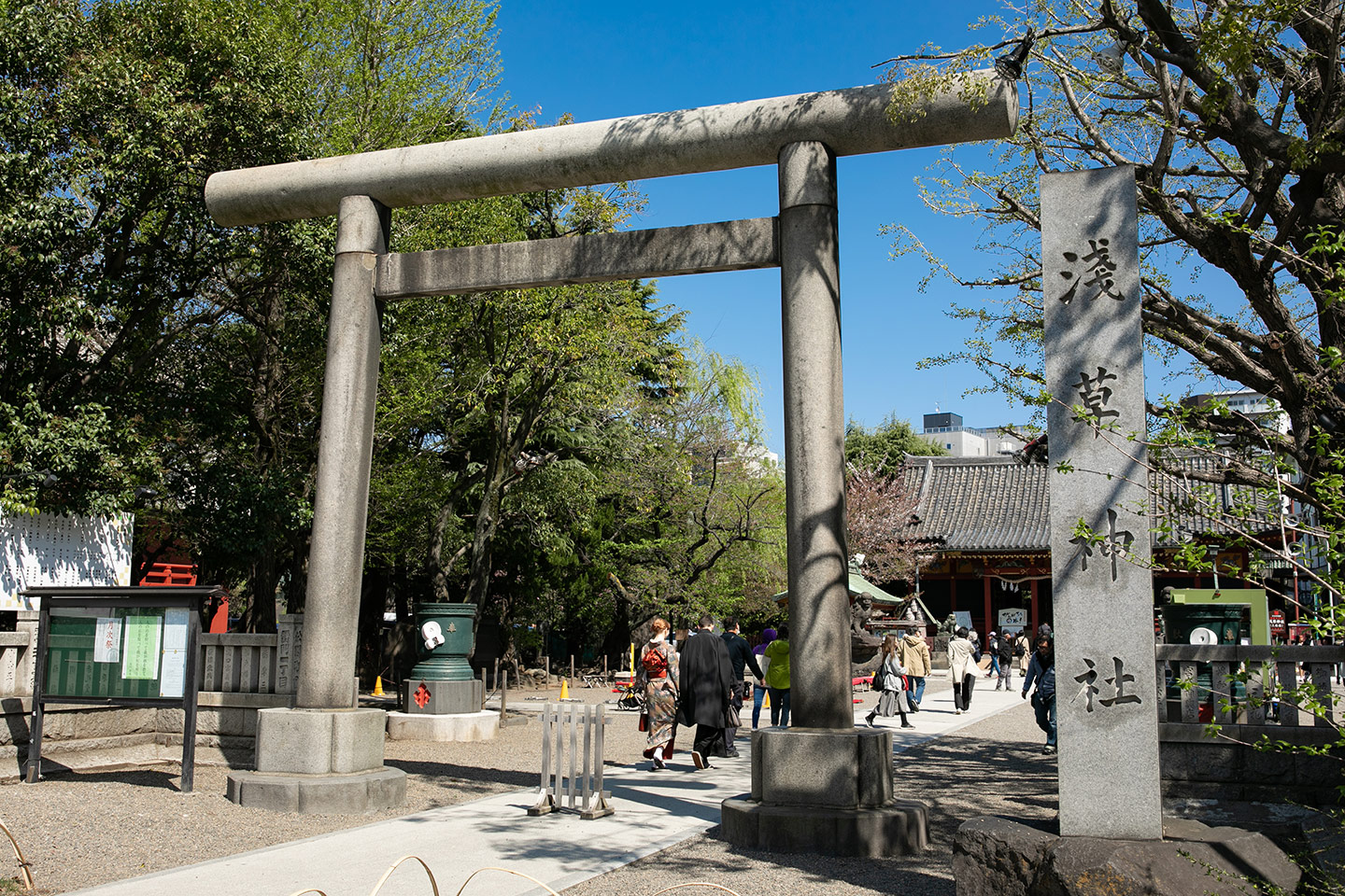浅草神社の入口と鳥居
