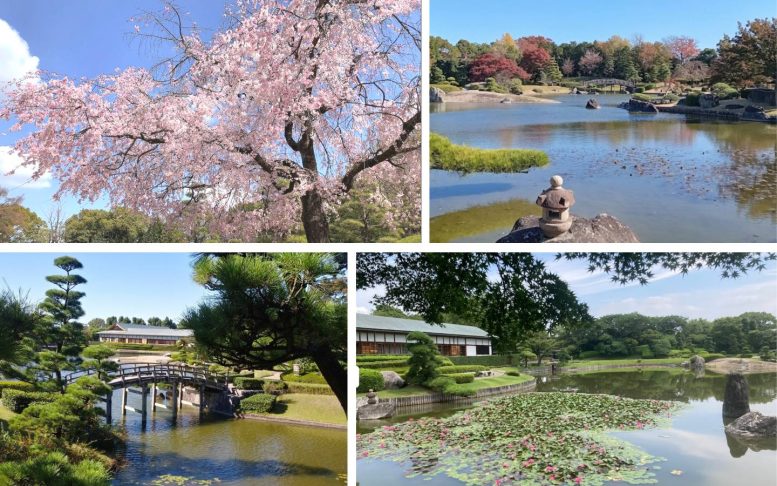 花田苑(越谷)