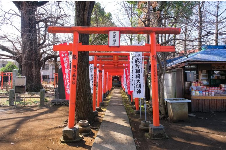 鬼子母神堂(きしもじん) お宮参り　見どころ