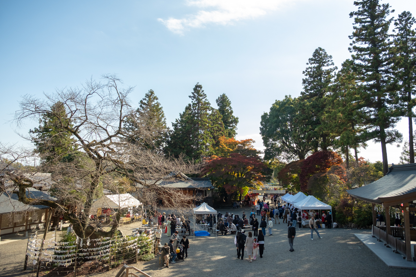高麗神社 境内の人混みの様子