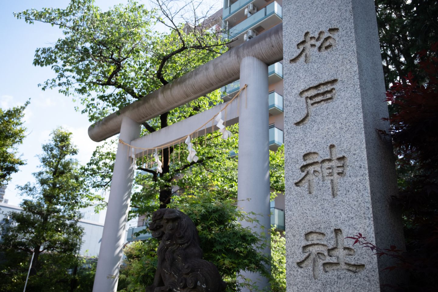 松戸神社の鳥居と社号標