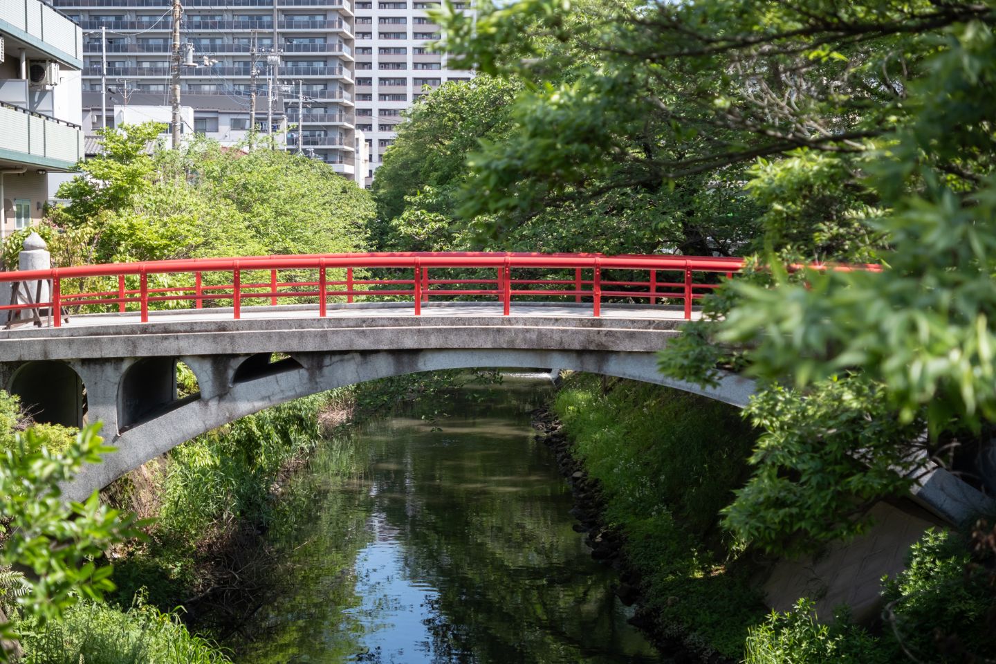 松戸神社　赤い橋