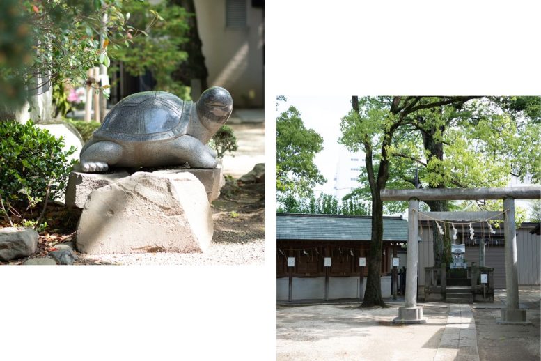 松戸神社　亀