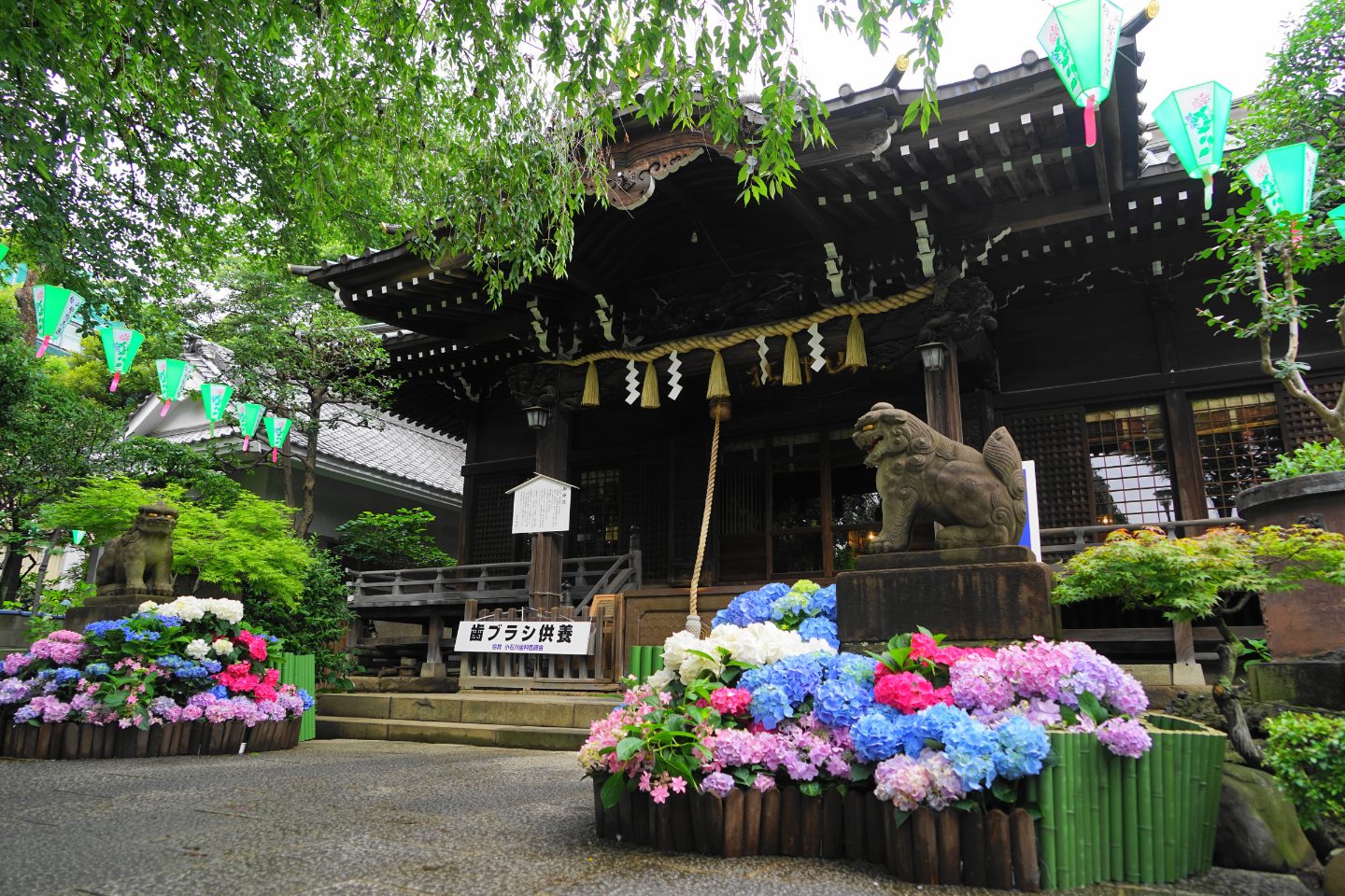 白山神社 本殿