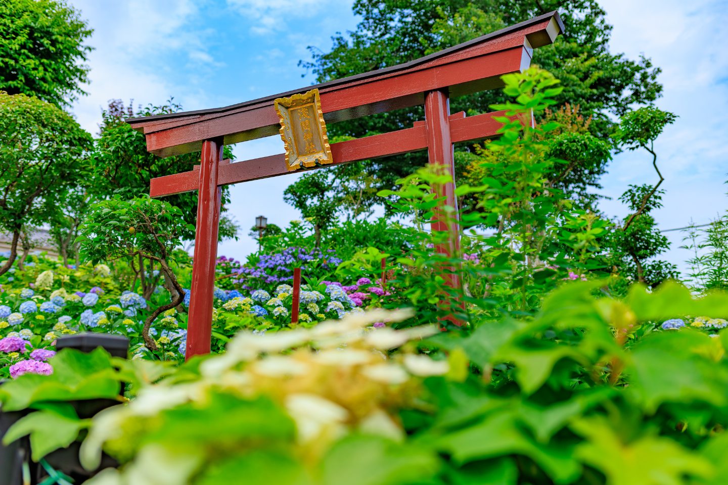 文京区白山神社の見どころ