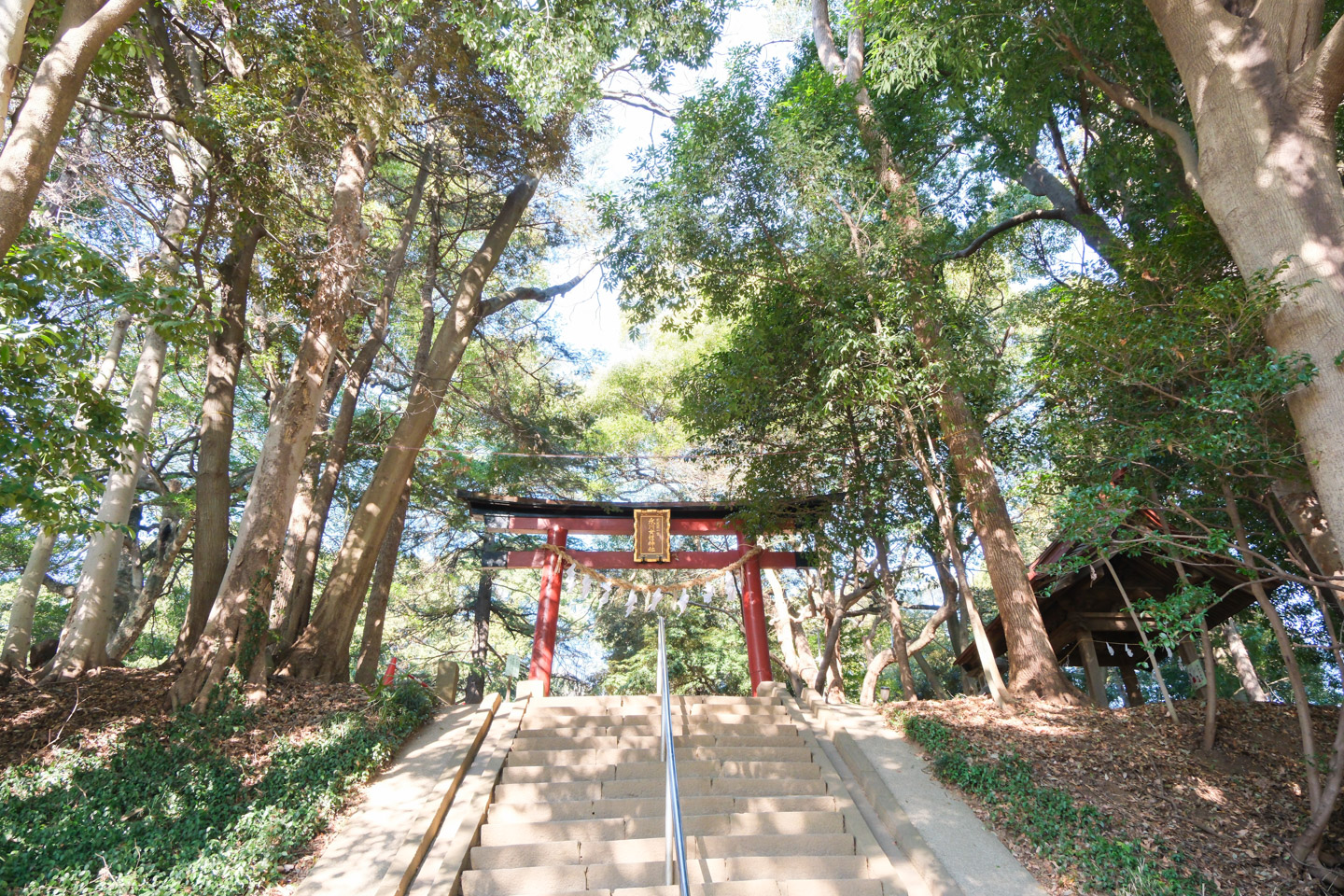 氷川女體神社 入口の階段と鳥居