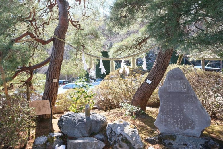 宝登山神社 縁むすび相生乃松