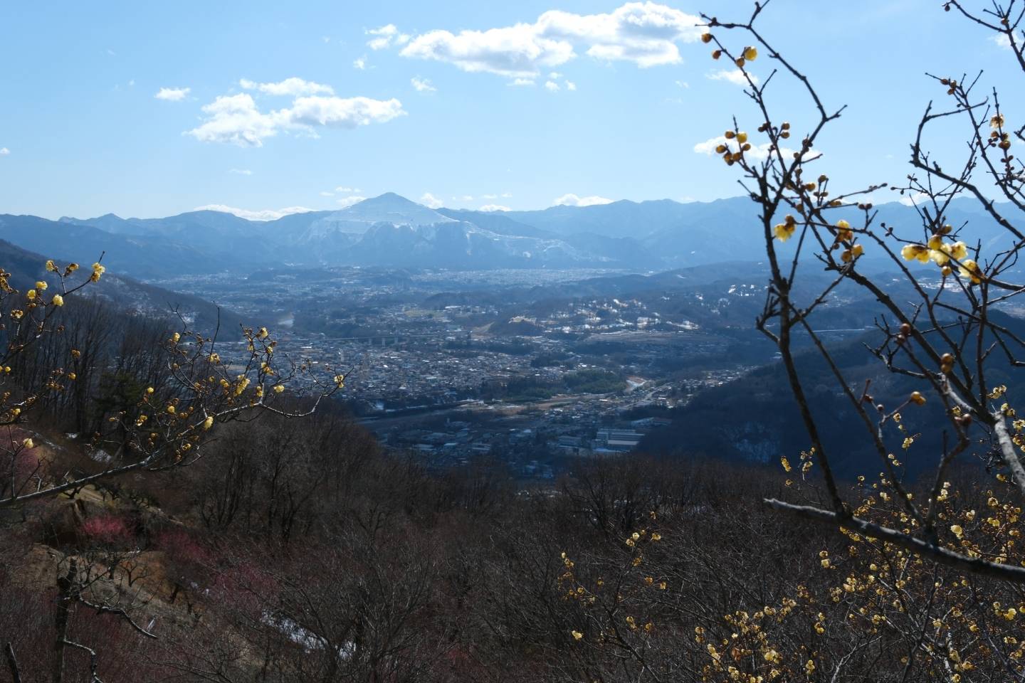 宝登山神社 山頂駅からの絶景