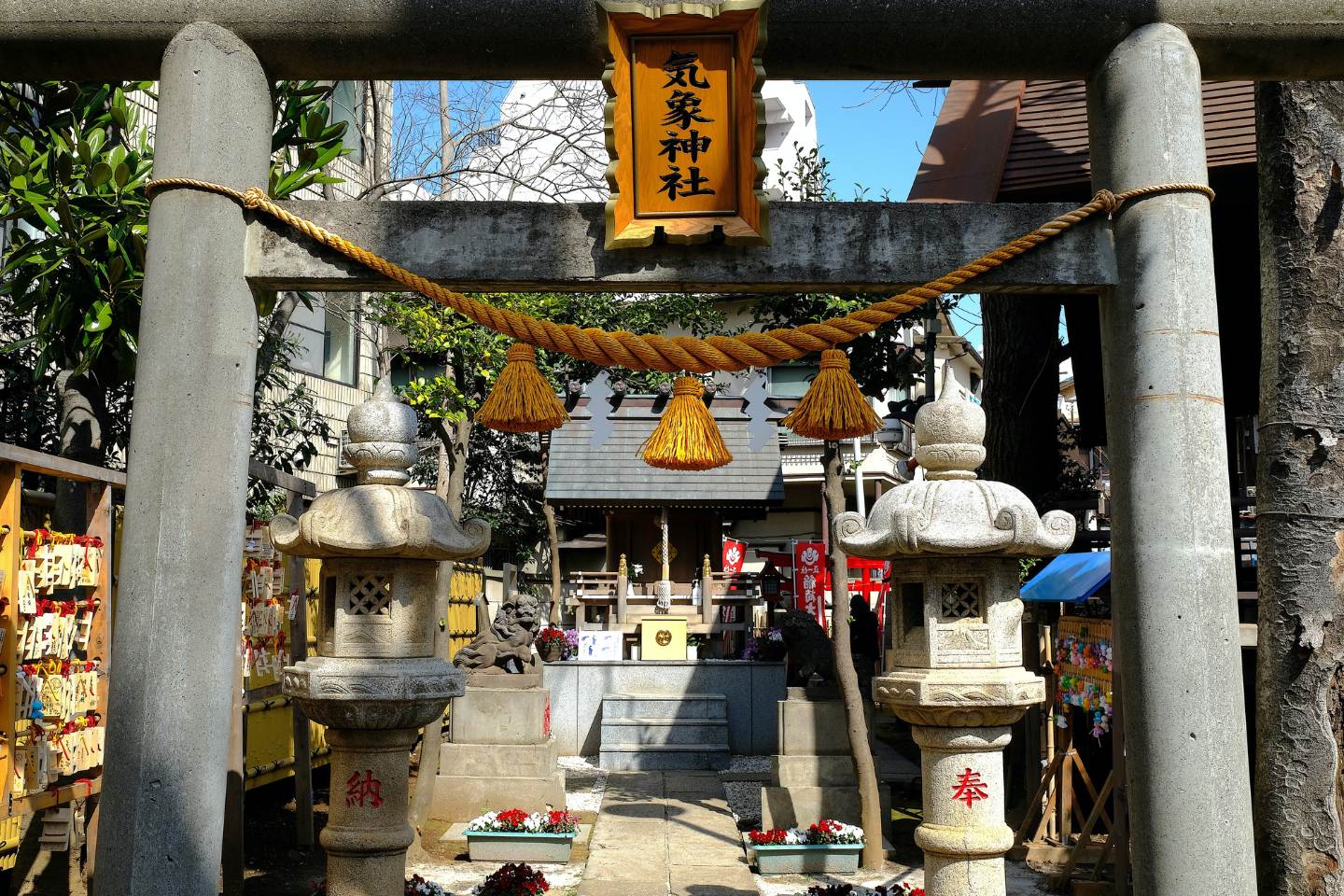 高円寺氷川神社 1