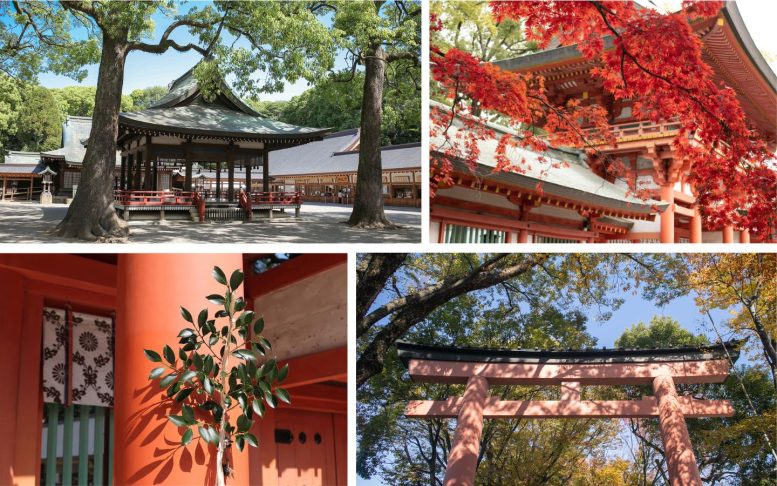 大宮氷川神社 ロケ地紹介