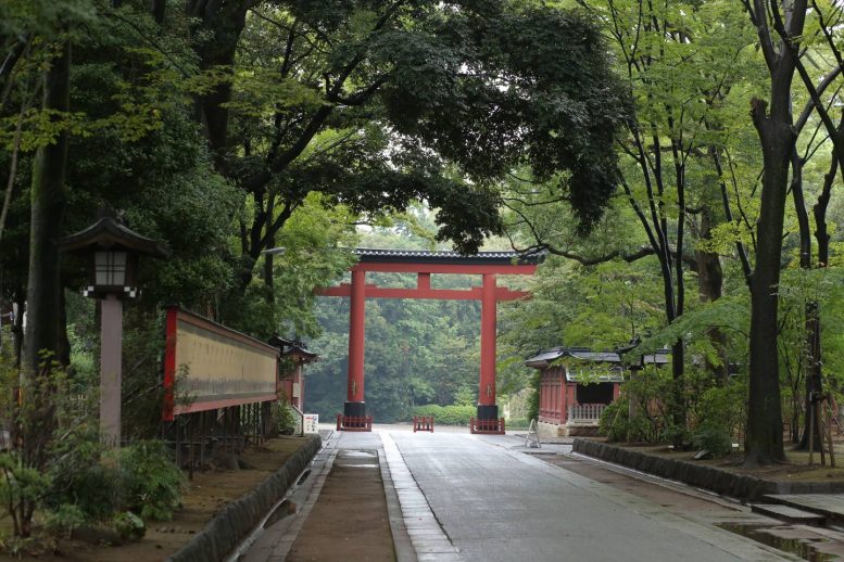 大宮氷川神社 参道