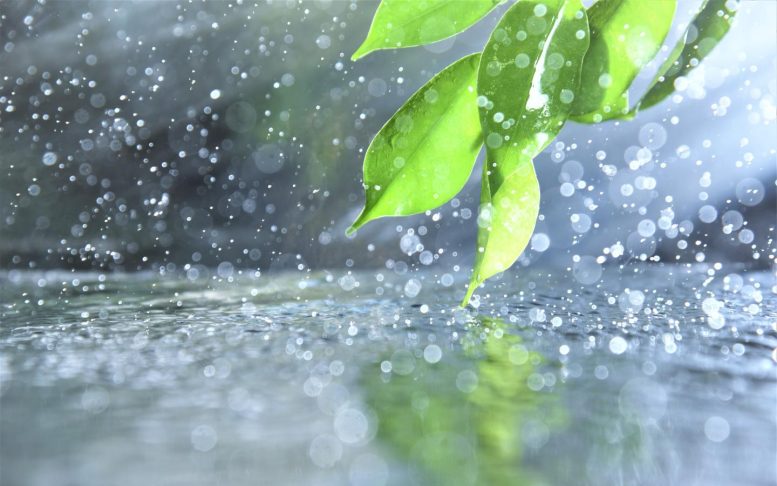 雨の日