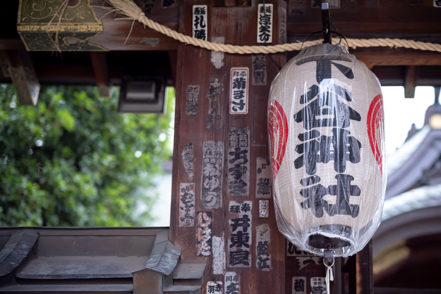 下谷神社　提灯