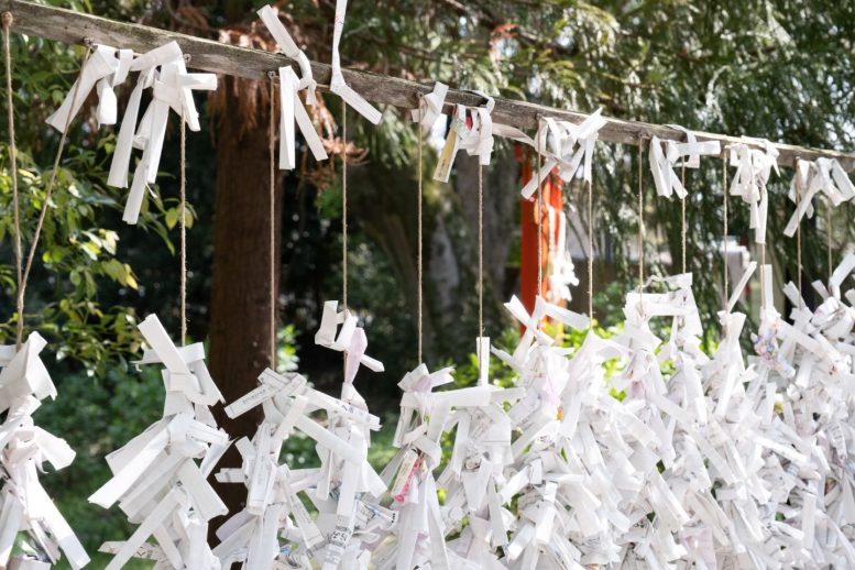 鷲宮神社 おみくじ