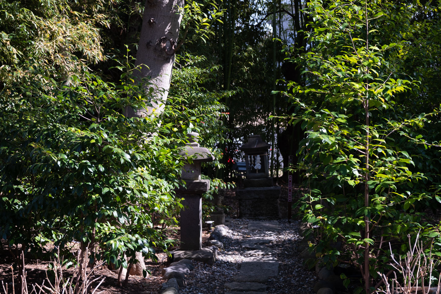 菊田神社 境内の雰囲気