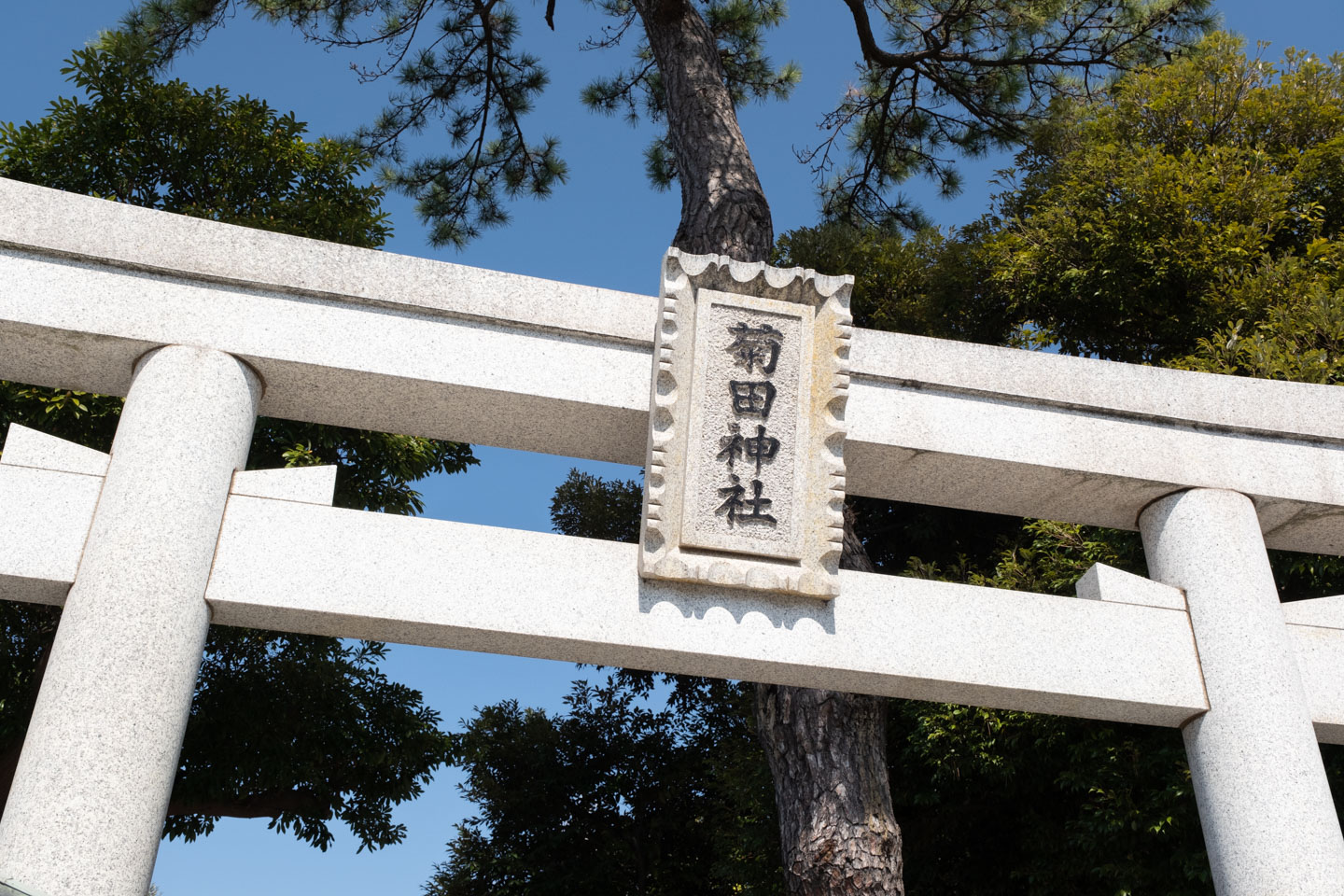 菊田神社 鳥居の神額