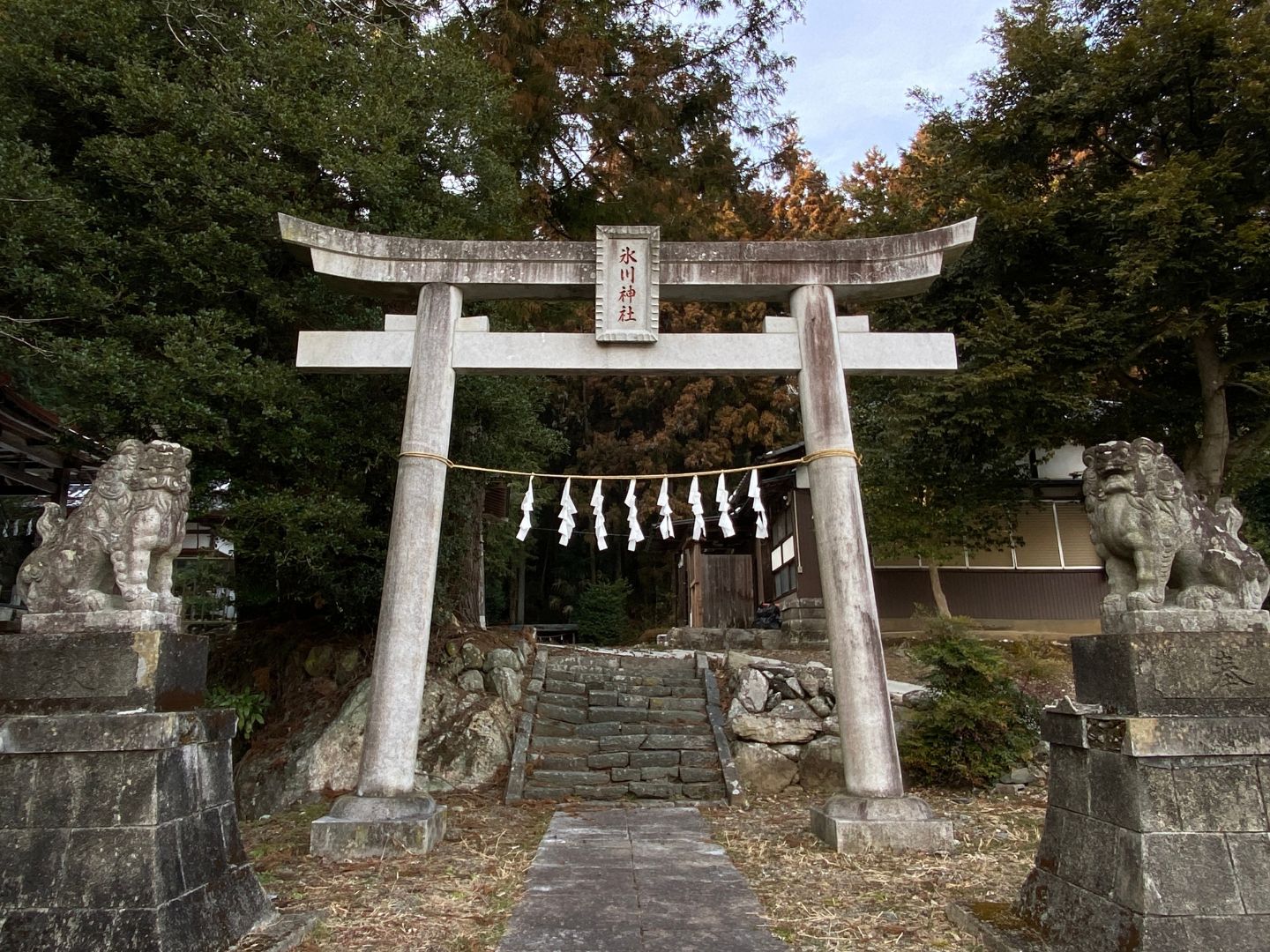 腰越氷川神社 鳥居と狛犬(こまいぬ)
