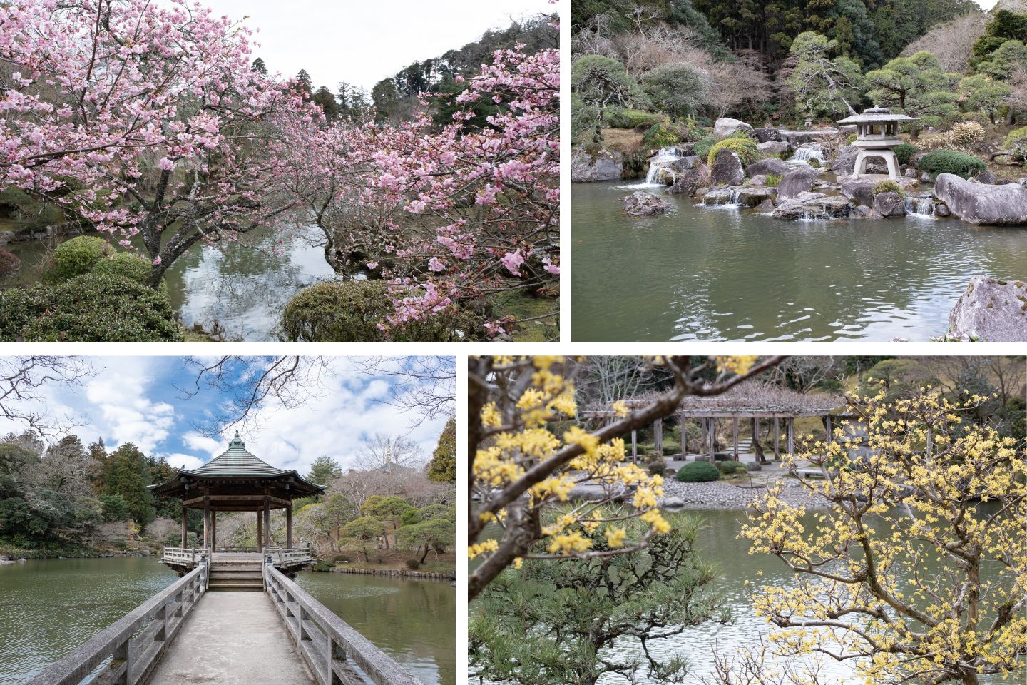 季節の移り変わりを感じる成田山公園