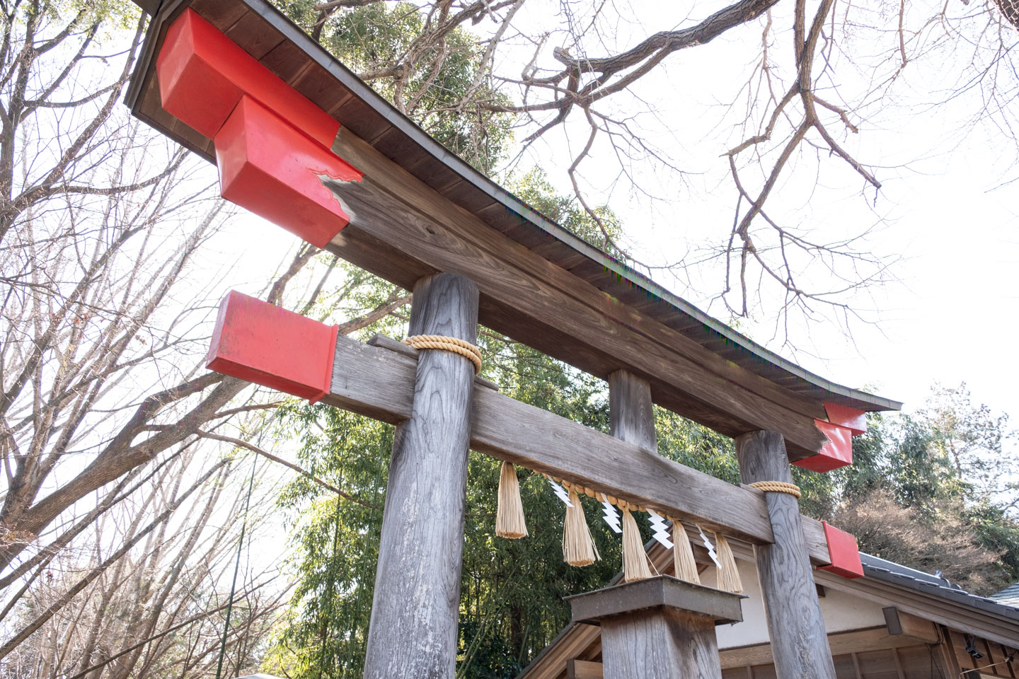 赤い装飾が付いた鳥居