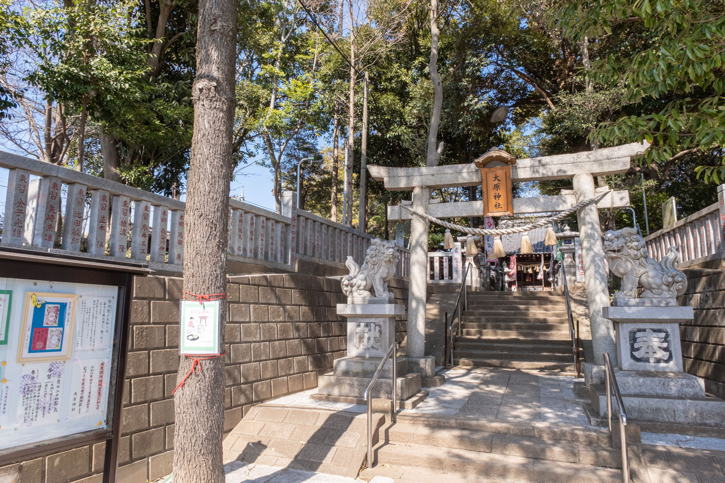 大原神社 2体の狛犬と白い鳥居