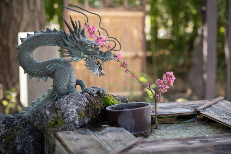 素盞嗚神社 手水に飾られた一輪挿し