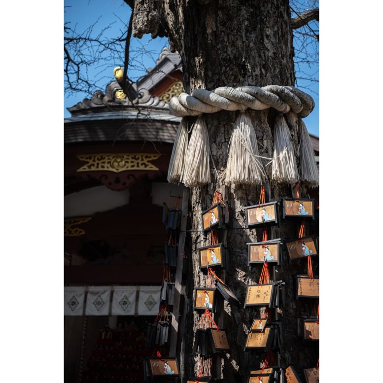 素盞嗚神社 絵馬掛け