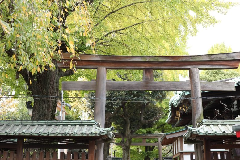 牛嶋神社　境内の鳥居